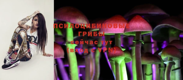 герыч Арсеньев
