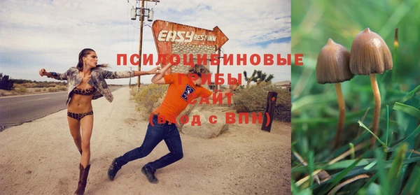 ECSTASY Ростов