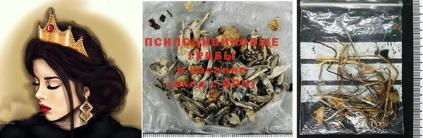 герыч Арсеньев