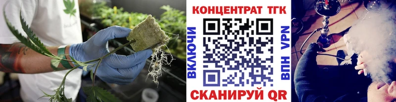 Дистиллят ТГК гашишное масло  ссылка на мегу сайт  Светлогорск  купить наркоту 
